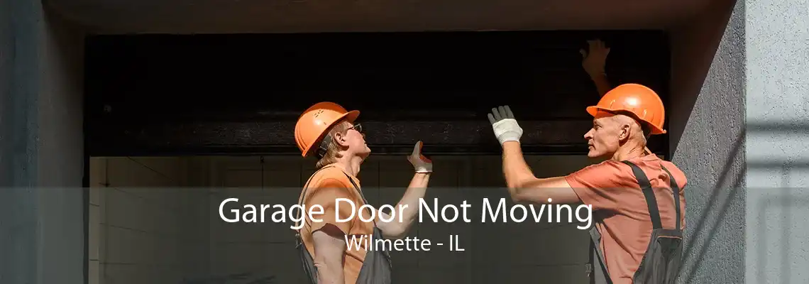 Garage Door Not Moving Wilmette - IL
